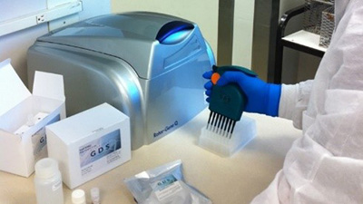 Pruebas Rápidas para Patógenos PCR
